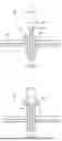 Fig. 19 - METHODS AND DEVICES FOR INTRACORPOREAL BONDING OF IMPLANTS WITH THERMAL ENERGY