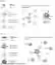 Fig. 08 - MULTIVALENT INTERFERON PARTICLES COMPOSITIONS AND METHODS OF USE