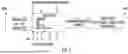 Fig. 02 - COMPOSITIONS AND METHODS FOR PREVENTING TUMORS AND CANCER