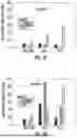 Fig. 05 - COMPOSITIONS AND METHODS FOR PREVENTING TUMORS AND CANCER