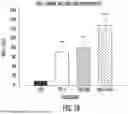 Fig. 10 - COMPOSITIONS AND METHODS FOR PREVENTING TUMORS AND CANCER