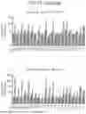 Fig. 40 - NUCLEIC ACID-CONJUGATED POLYMERIC NANOPARTICLES AND METHODS OF USE
