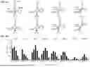 Fig. 04 - BIOLUMINESCENT PROBES FOR VISUALIZING RNA DYNAMICS