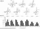 Fig. 06 - BIOLUMINESCENT PROBES FOR VISUALIZING RNA DYNAMICS