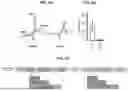 Fig. 07 - BIOLUMINESCENT PROBES FOR VISUALIZING RNA DYNAMICS
