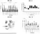 Fig. 08 - BIOLUMINESCENT PROBES FOR VISUALIZING RNA DYNAMICS