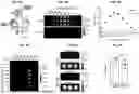 Fig. 09 - BIOLUMINESCENT PROBES FOR VISUALIZING RNA DYNAMICS