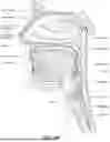 Fig. 06 - SEAL-FORMING STRUCTURE, POSITIONING AND STABILIZING STRUCTURE AND DIFFUSER VENT FOR PATIENT INTERFACE
