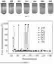Fig. 02 - METHOD FOR PREPARING DURABLE HYDROPHILIC ULTRAFILTRATION MEMBRANE