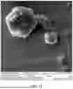 Fig. 20 - BIMETALLIC NANOALLOY COMPOSITE