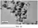 Fig. 29 - BIMETALLIC NANOALLOY COMPOSITE