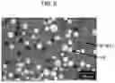 Fig. 08 - ELECTRODE FOR ELECTRICAL DISCHARGE SURFACE TREATMENT AND METHOD FOR PRODUCING SAME