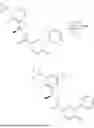 Fig. 488 - SOS1 INHIBITOR AND USE THEREOF