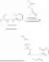 Fig. 511 - SOS1 INHIBITOR AND USE THEREOF