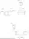 Fig. 716 - SOS1 INHIBITOR AND USE THEREOF