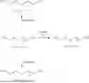 Fig. 06 - General Solid-Phase Synthesis of Crown Ethers