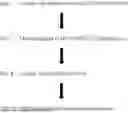 Fig. 49 - IDEBENONE DERIVATIVES AND THEIR USE IN TREATING PLANTS