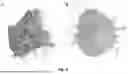 Fig. 04 - LIGNIN, METHODS OF EXTRACTION AND USES THEREOF