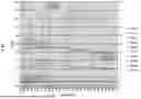 Fig. 09 - LIGNIN, METHODS OF EXTRACTION AND USES THEREOF