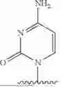 Fig. 586 - NUCLEOTIDE ANALOGUES