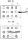 Fig. 09 - CELL CULTURE SYSTEM AND CELL CULTURE METHOD