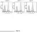 Fig. 15 - Chemically Modified Guide RNAs for CRISPR/CAS-Mediated Gene Correction
