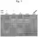 Fig. 02 - METHOD FOR PRODUCING HUMAN ARTIFICIAL CHROMOSOME VECTOR IN HUMAN CELL