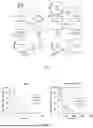 Fig. 02 - METHOD OF PRODUCING ANTIBIOTIC- AND INDUCER-FREE VECTOR FOR PRODUCTION OF BIO-BASED MATERIALS