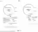 Fig. 05 - METHOD OF PRODUCING ANTIBIOTIC- AND INDUCER-FREE VECTOR FOR PRODUCTION OF BIO-BASED MATERIALS