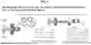 Fig. 02 - NUCLEAR DNA-ANTIBODY SEQUENCING FOR JOINT PROFILING OF GENOTYPE AND PROTEIN IN SINGLE NUCLEI