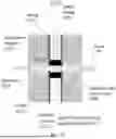 Fig. 15 - Interventions to Boost Well Performance in Geothermal Systems