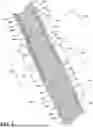 Fig. 06 - Composite Airfoil Assembly for a Turbine Engine