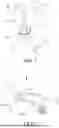 Fig. 02 - Lamp bulb structure and lamp