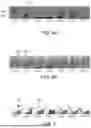 Fig. 06 - LIQUID-IMPREGNATED SURFACES, METHODS OF MAKING, AND DEVICES INCORPORATING THE SAME