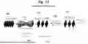 Fig. 02 - Semi-supervised ML-synthesis for time-resolved imaging