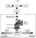 Fig. 02 - NANOFIBER QUANTUM COMPUTING SYSTEM AND RELATED METHOD
