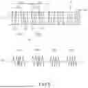 Fig. 08 - SERVO PATTERN RECORDING APPARATUS, METHOD OF PRODUCING A SERVO PATTERN RECORDING METHOD, AND MAGNETIC TAPE