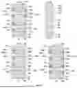 Fig. 09 - LATERAL GATE-ALL-AROUND TRANSISTORS, THREE-DIMENSIONAL INTEGRATED CIRCUIT, AND MANUFACTURING METHOD THEREOF