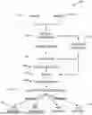 Fig. 01 - SYSTEMS, METHODS, AND APPARATUSES FOR BUFFER MANAGEMENT