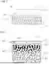 Fig. 02 - SILICA GLASS SUBSTRATE