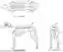 Fig. 02 - Dynamic Joint Alignment Brace For An Animal
