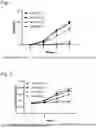 Fig. 02 - AGENT FOR PREVENTING, TREATING, OR IMPROVING INFLAMMATORY SKIN DISEASE