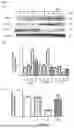 Fig. 04 - ENTERITIS-SUPPRESSING COMPOSITION