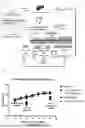 Fig. 07 - ENTERITIS-SUPPRESSING COMPOSITION