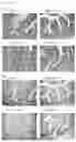 Fig. 09 - ENTERITIS-SUPPRESSING COMPOSITION