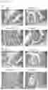 Fig. 10 - ENTERITIS-SUPPRESSING COMPOSITION