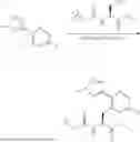 Fig. 167 - CYCLIN INHIBITORS