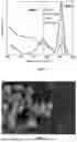 Fig. 02 - Amine-functionalized adsorbent and method for preparing same
