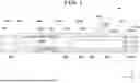 Fig. 02 - TECHNOLOGY FOR CONTROLLING SHAPE OF IMAGE FORMED BY IMAGE FORMING APPARATUS