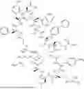 Fig. 366 - MACROCYCLIC IMMUNOMODULATORS
